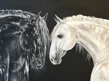 Black&White - Friese und