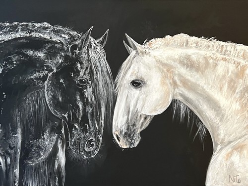 Black white friese - -, und