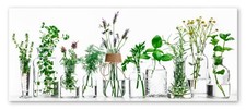 Küchenbild Herbs | Kräuter