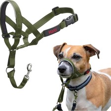 Halti optifit kopfgeschirr - halti,
