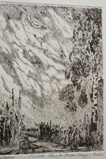 Im Moor,  Ostfriesland Radierung 32 x 24 cm, handschriftl signiert, Heinz Brayer