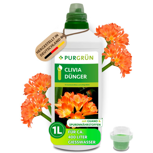 Purgrün clivia dünger - purgrün, dünger,