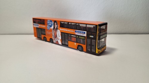 Bvg man lions city - city, dl