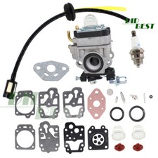 Vergaser mit Reparatursatz