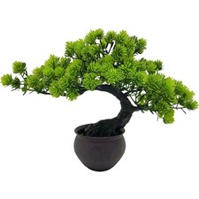 Pflegeleichter Wacholder Bonsai im Topf – Japanische Kunstpflanze für Wohnräume