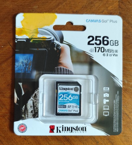 Kingston canvas plus 256gb - kingston, go!
