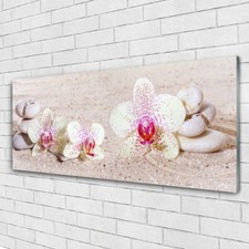 Acrylglasbilder Wandbilder