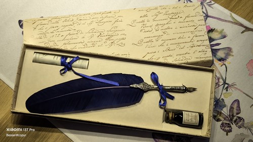 Schreibfeder mit metallspitze - schreibfeder,