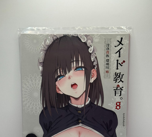 Maid education doujinshi - maid,