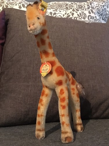 Selten steiff giraffe - giraffe, kfs