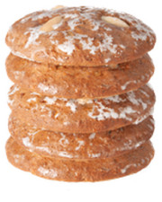 5er Pack Nürnberger Elisenlebkuchen weiß