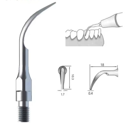 Zeg spitze tip gs2 passend - tip,