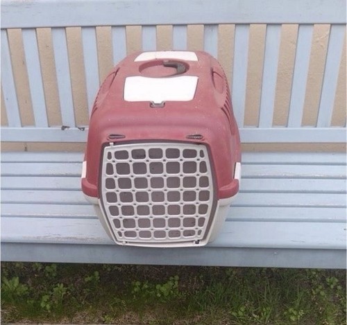 Transportbox für hunde und - hunde,