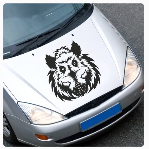 Keiler wildschwein wildsau - keiler,