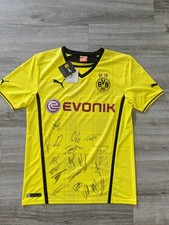 Bvb trikot 2013 hand - bvb,