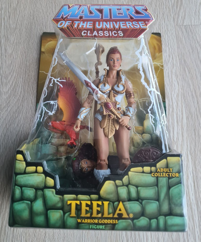 Man masters the universe - he-man,