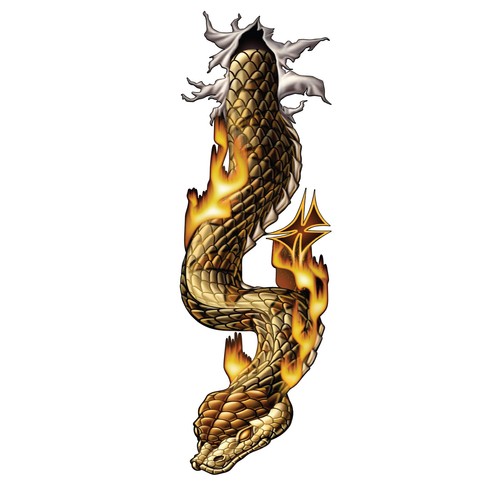 Aufkleber schlange mit flammen - aufkleber,