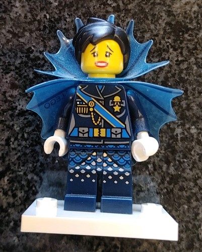 The lego ninjago - lego,
