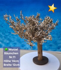 🌳Aquarium Wurzel Bonsai