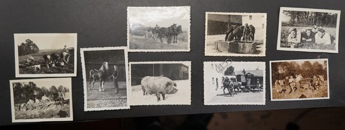 Foto landwirtschaft - 9x,