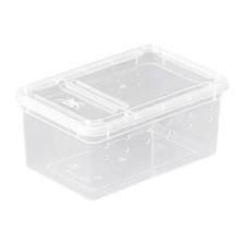 Klar Terrarium Lebensraum