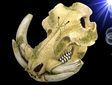 Aquarium Deko 🐠 TIER SCHÄDEL HÖHLE 🐠 Skull Skelett Totenkopf Zubehör NOBBY