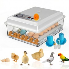 36 Eier Brutautomat