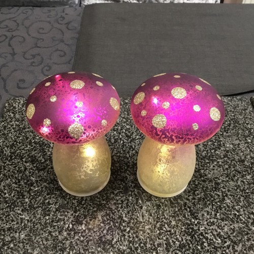 Led pilz set kunststoff - led,