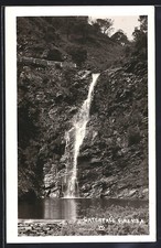 Ansichtskarte Waterfall Gully, The Waterfall 