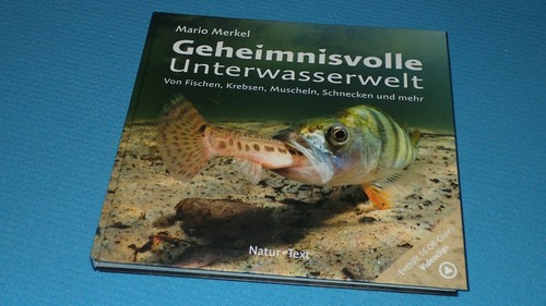 Geheimnissvolle