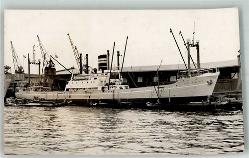 10752078 2000 hamburg lucy - 10752078,