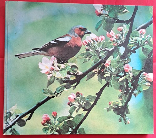 Sammelbildalbum vögel feld - vÖgel,