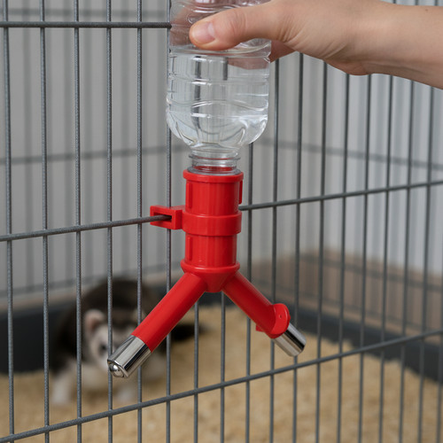 Haustier wasserspender zum - haustier-wasserspender,