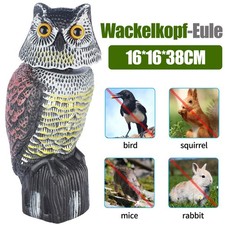 Vogelabwehrmittel Raubvogel