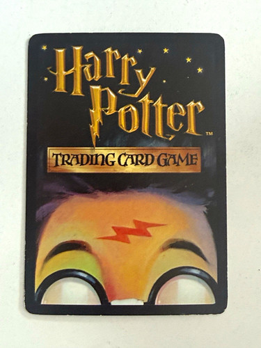 Wizards the coast - the, harry