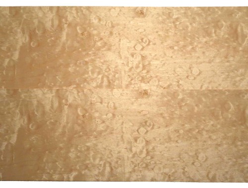 Muschel ahorn furnier quilted - muschel,