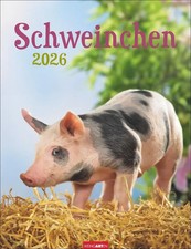 Schweinchen Kalender 2026 | Kalender | Tierkalender Weingarten | 14 S. | Deutsch