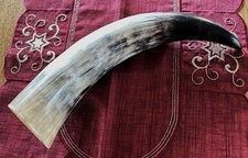 Poliertes Rinderhorn /