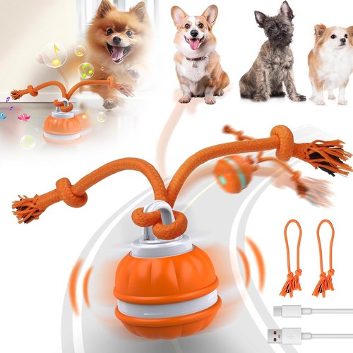 Hundespielzeug hundeball - hundespielzeug,