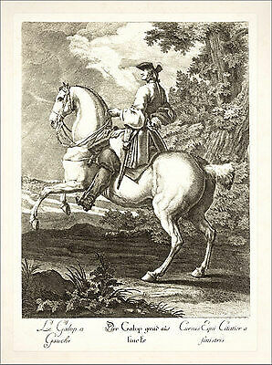 Galop gerade aus - , links