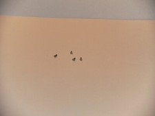 Märklin HO aus 3352, 3652 Ersatzteil 755230, 4 Stück Sechskantansatzschraube