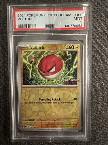 Pokemon voltorb professor - pokemon,