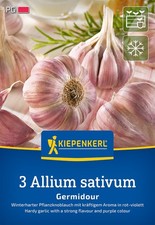 Kiepenkerl 611436 Knoblauch Germidour (3 Stück) (Winter-Pflanzknoblauch)