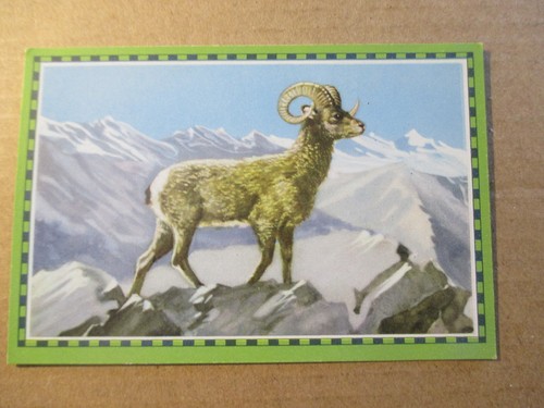 Bild chlorodont - 1.bild,