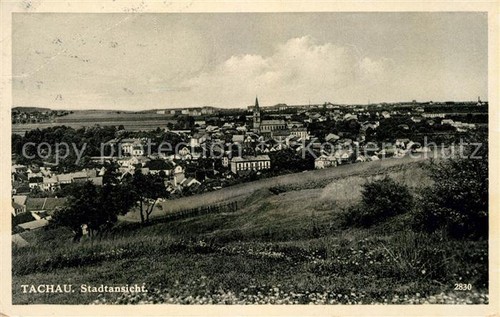 Tachau stadtansicht - tachau,
