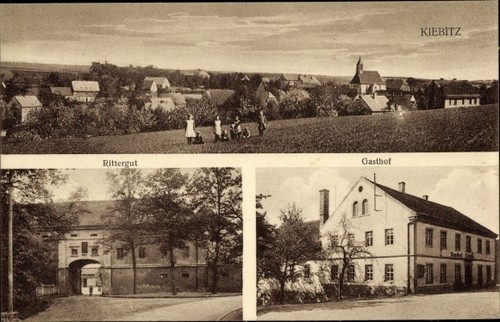 Kiebitz ostrau sachsen - ak,