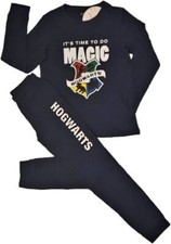 Harry Potter Hogwarts