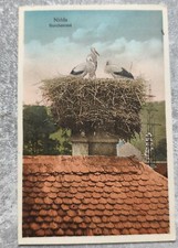 AK    Nidda Storchennest um1920-30
