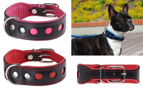 Reflektierende hundehalsband - reflektierende,