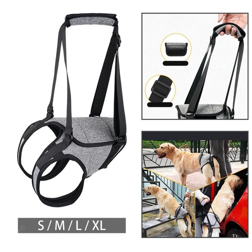 Gehhilfe hund hinten rehahilfe - hinten,